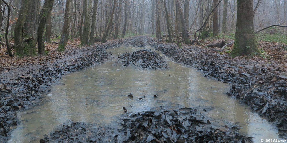 Montville (Chemin 2)