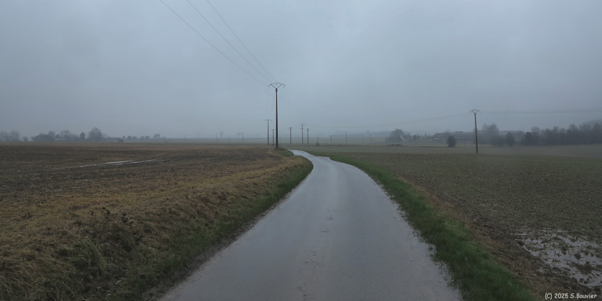 Bosc-Guérard-Saint-Adrien (Route)