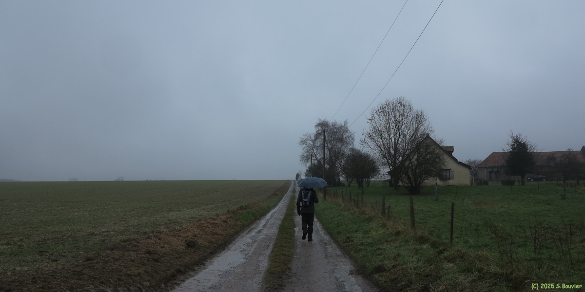 Bosc-Guérard-Saint-Adrien (Chemin 1)