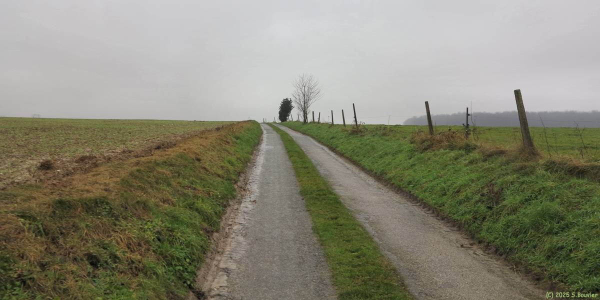 Bosc-Guérard-Saint-Adrien (Chemin 2)