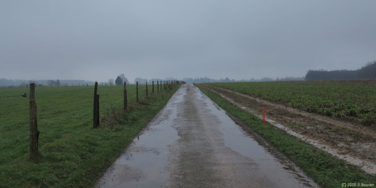 Quincampoix (Chemin)