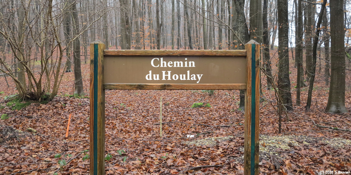 Forêt Verte (Panneau)