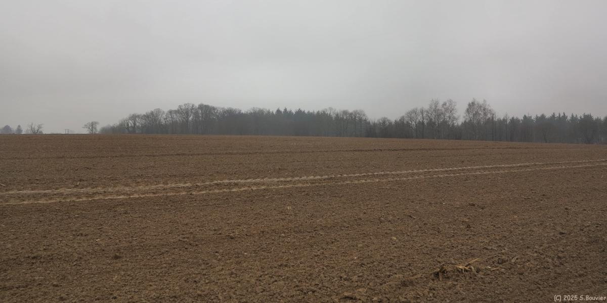 Houppeville (Plaine)