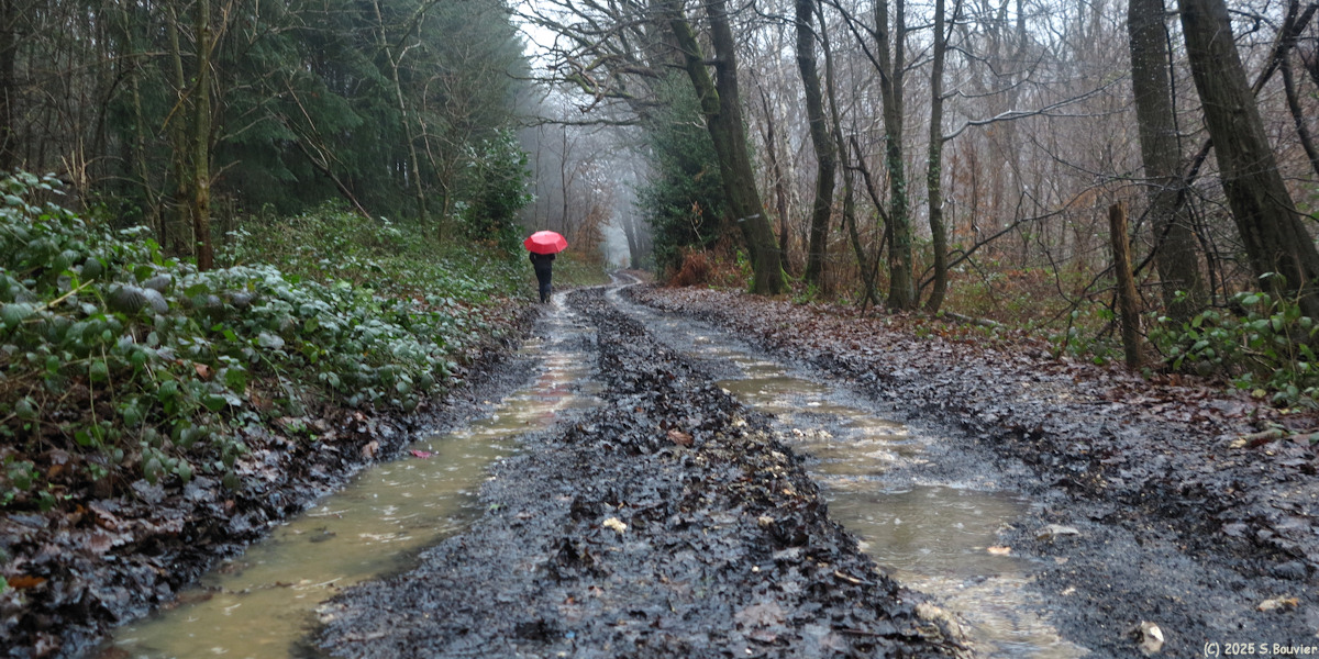 Houppeville (Chemin 2)