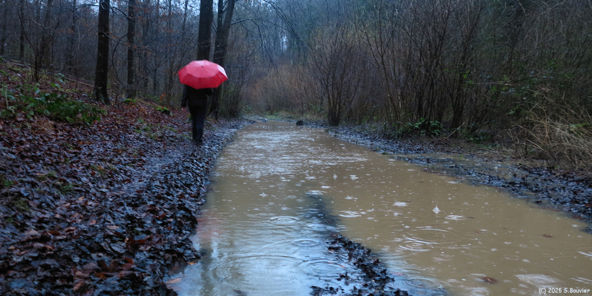 Montville (Chemin 1)