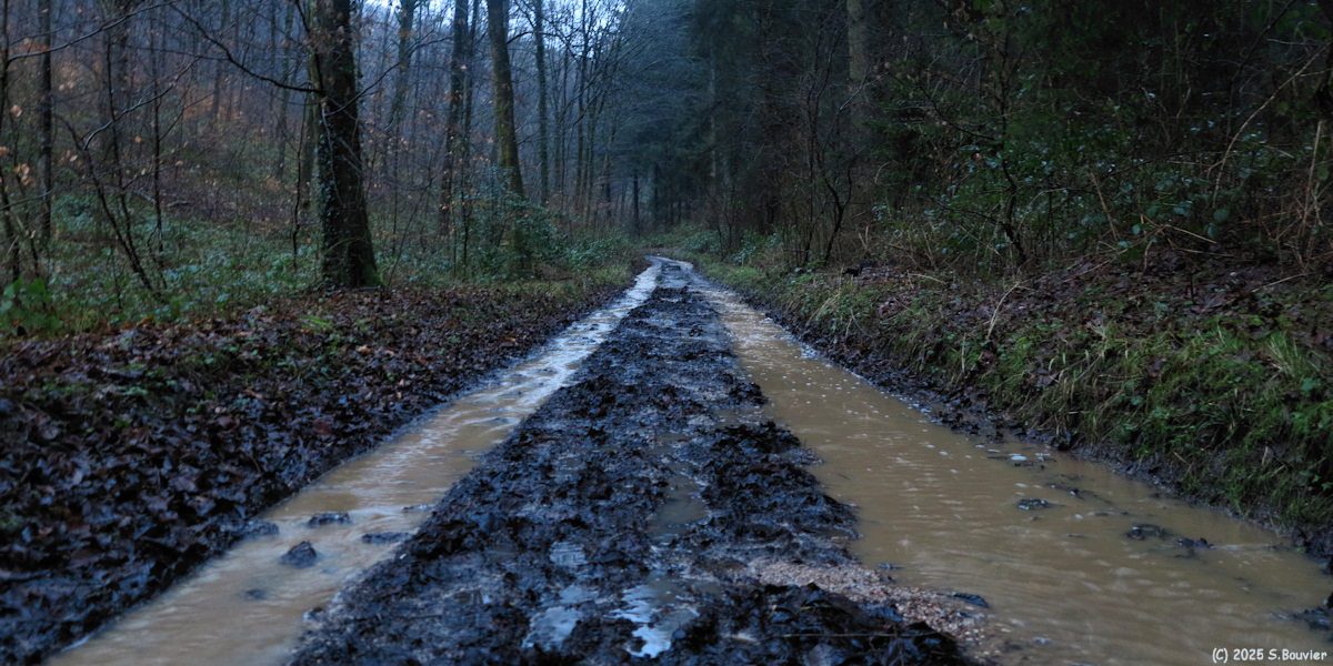 Montville (Chemin 2)