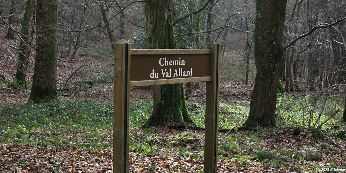 Forêt Verte (Panneau 2)