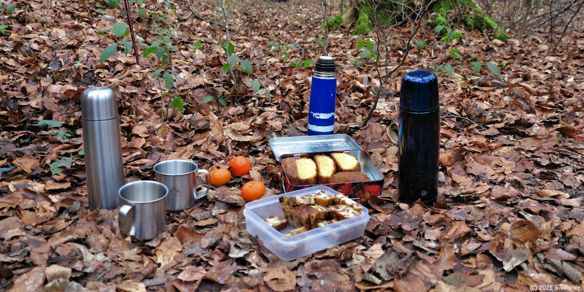 Forêt Verte (Goûter)