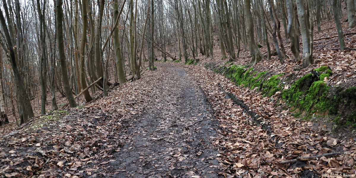 Houppeville (Chemin)