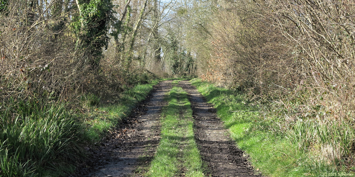 Sainte Honorine des Pertes (Chemin 3)