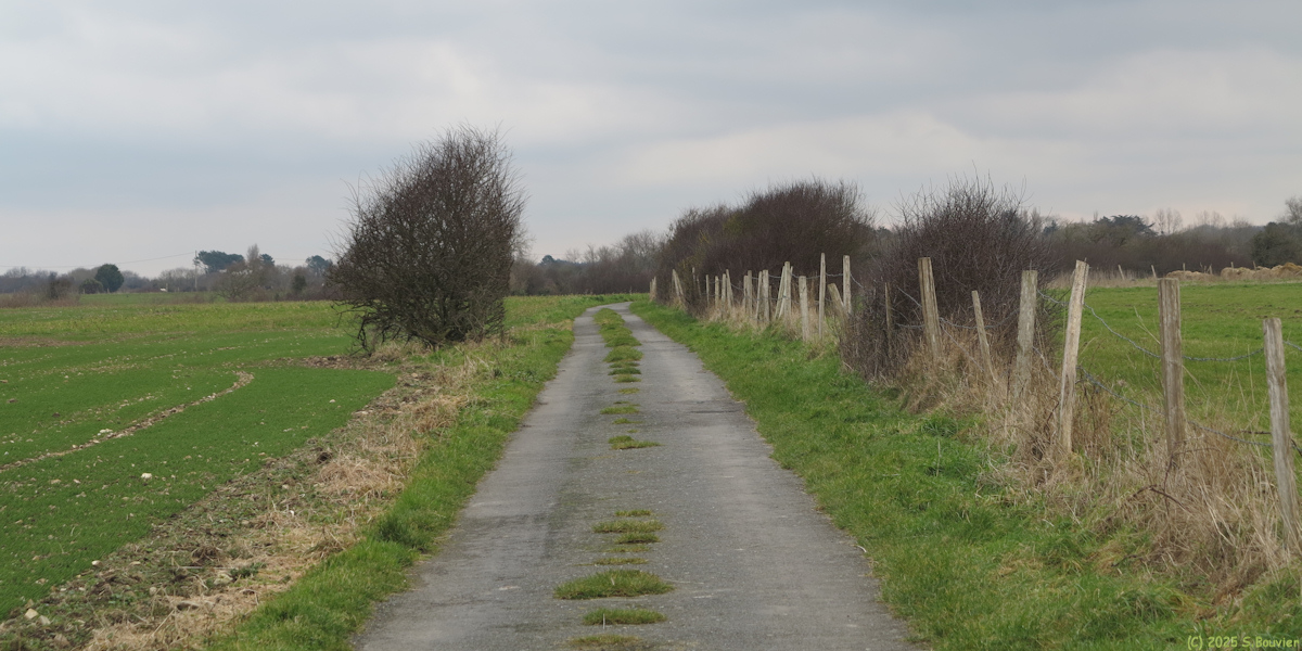 Colleville sur Mer (Route 2)