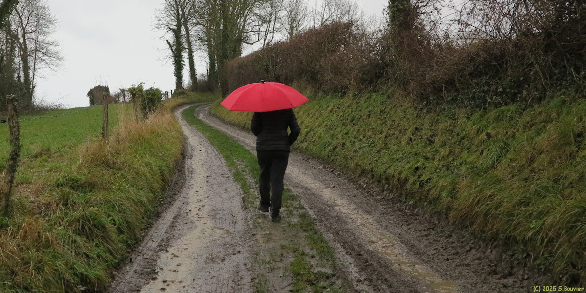 Commes (Chemin 2)