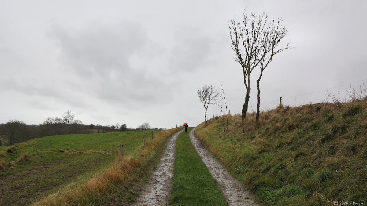 Commes (Chemin 3)