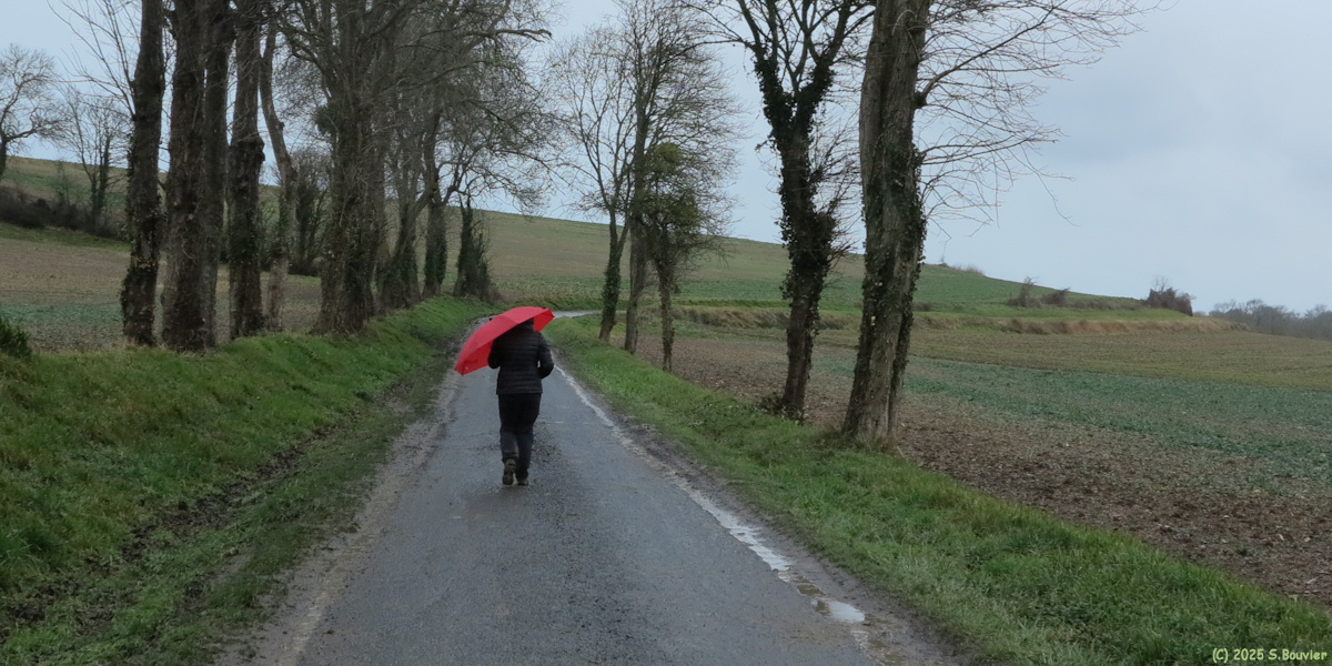 Longues sur Mer (Route 2)