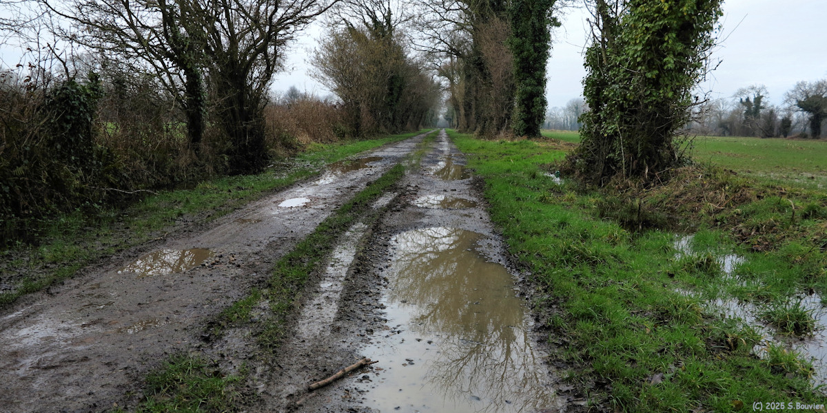 Formigny (Chemin 1)