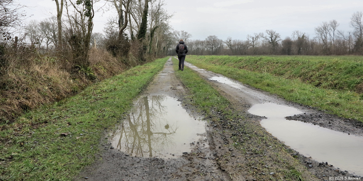 Formigny (Chemin 2)