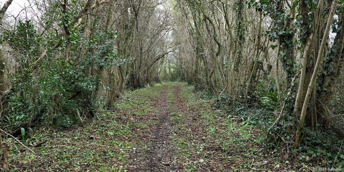 Louvières (Chemin)
