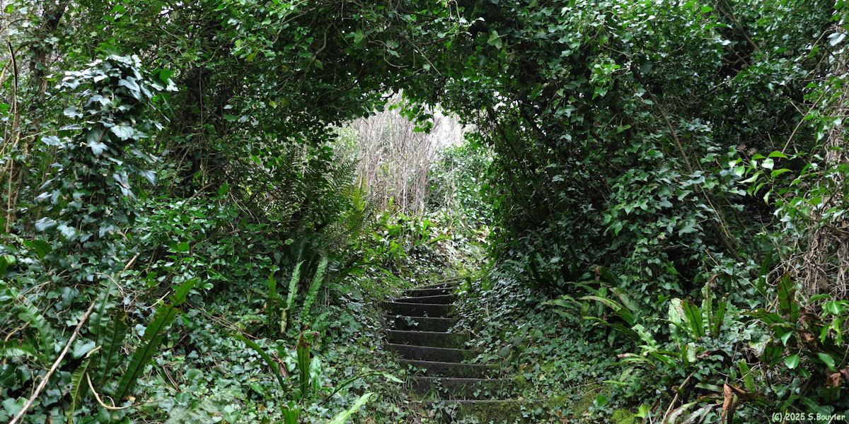 Saint Laurent sur Mer (Escalier)