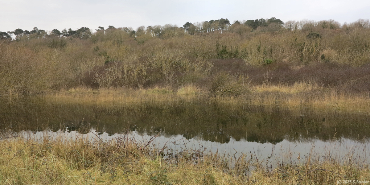 Colleville sur Mer (Marais 1)