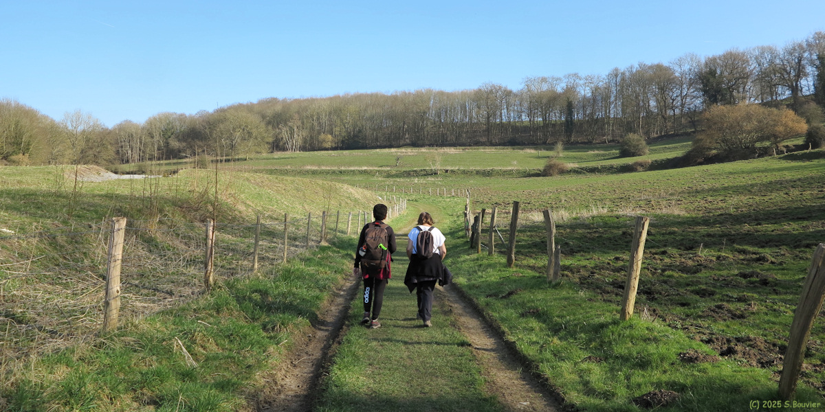 Amfreville la Mi Voie (Chemin 1)