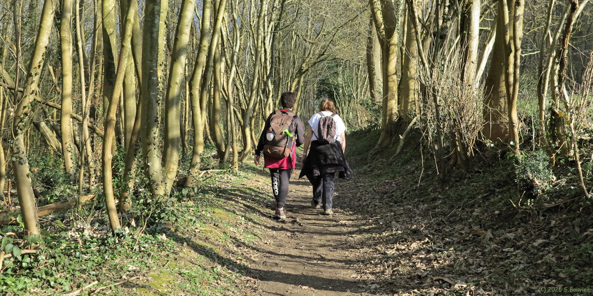 Amfreville la Mi Voie (Chemin 2)