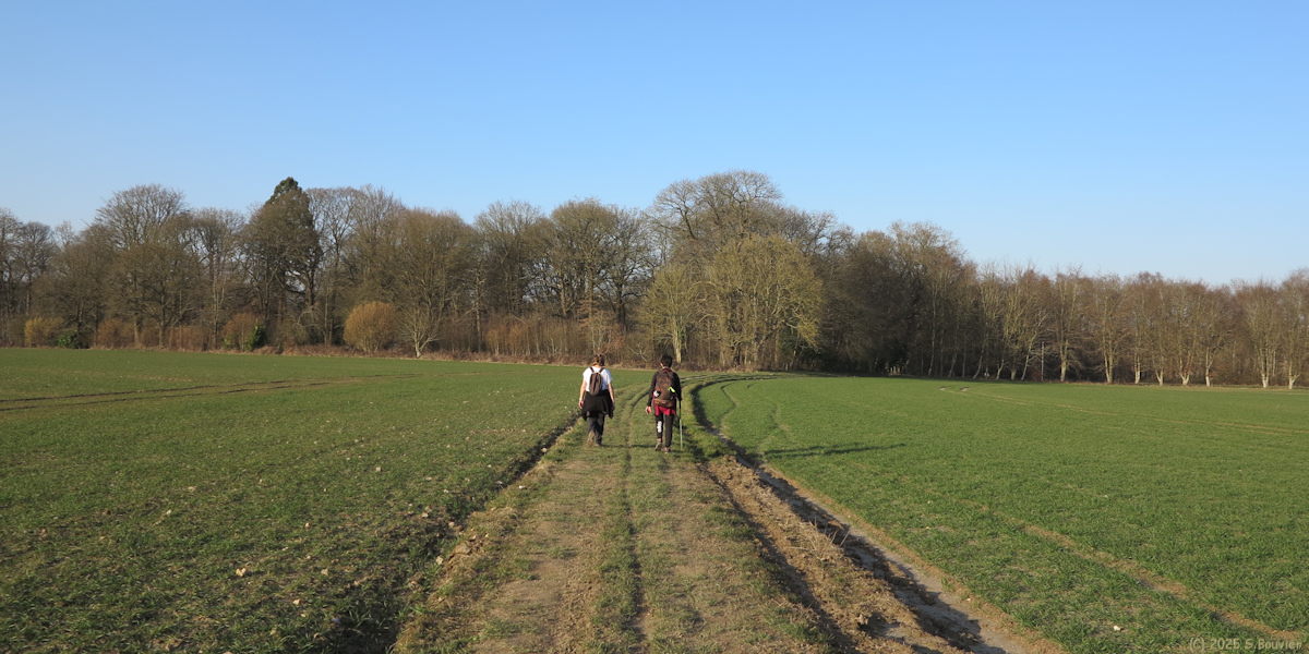 Mesnil Esnard (Chemin)