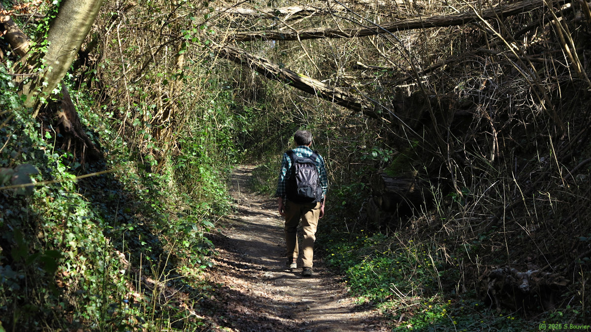 Belbeuf (Sentier 1)