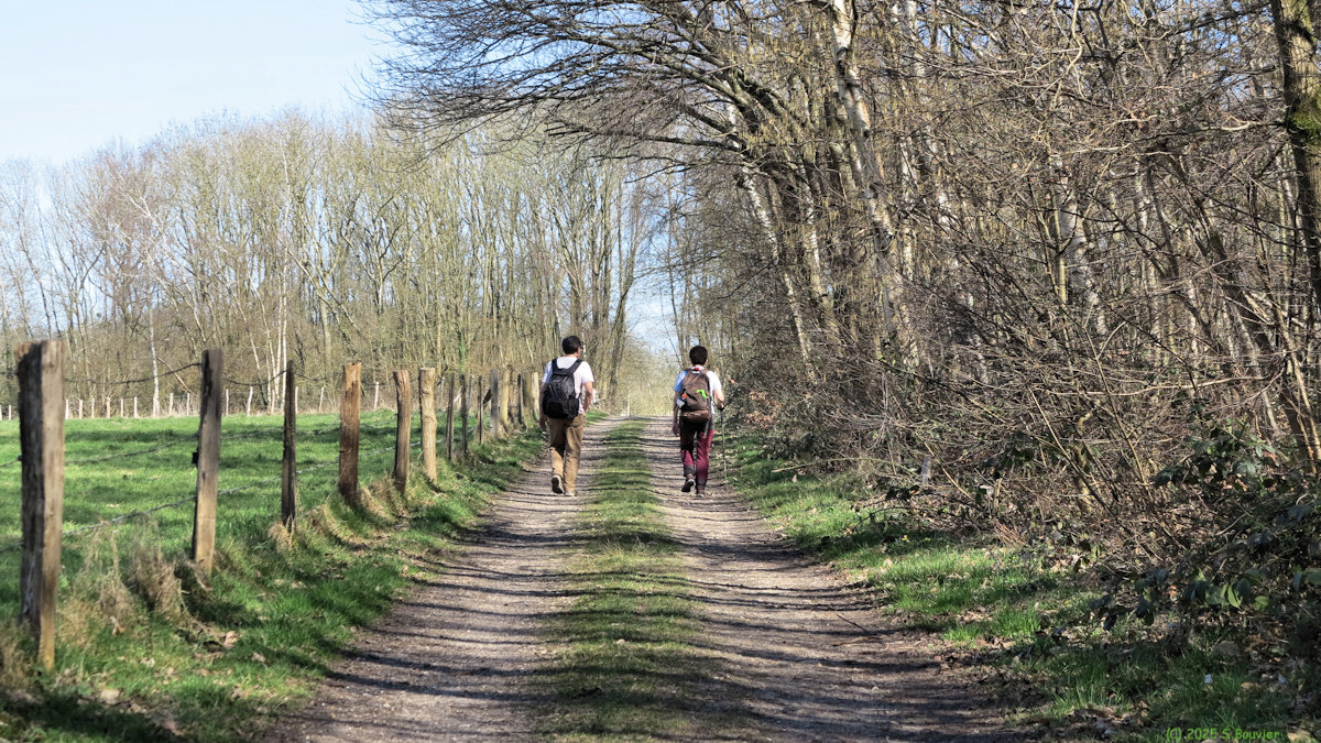 Saint Aubin Celloville (Chemin)