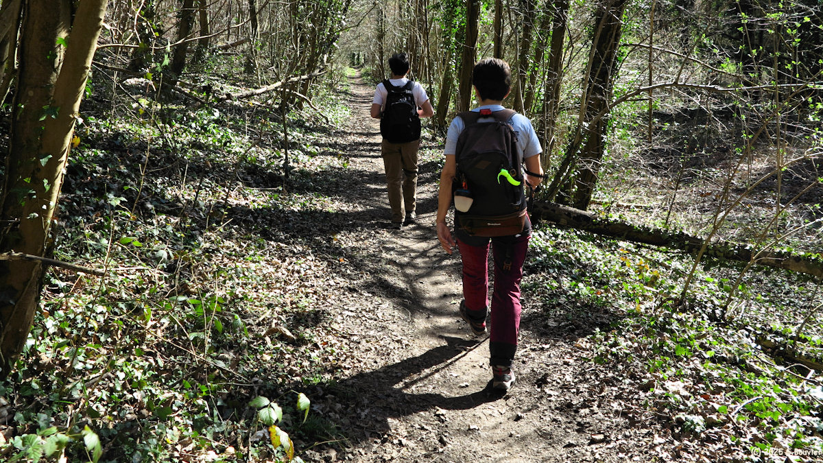 Gouy (Chemin 1)