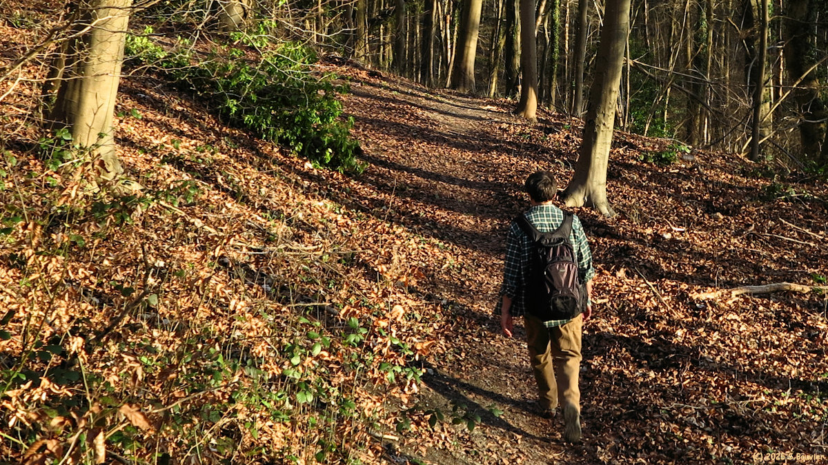 Belbeuf (Sentier 2)