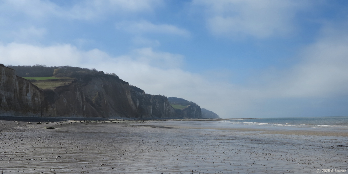 Varengeville sur Mer (Estran 1)