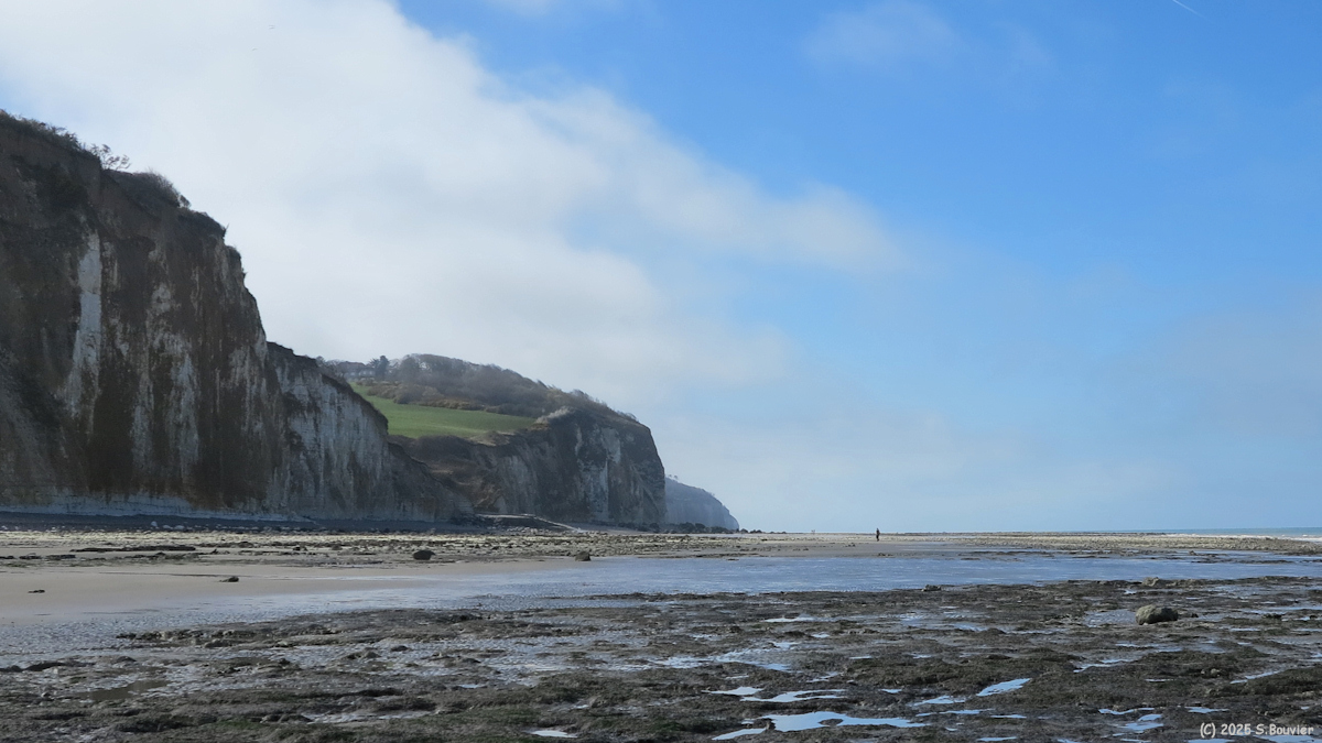 Varengeville sur Mer (Estran 2)