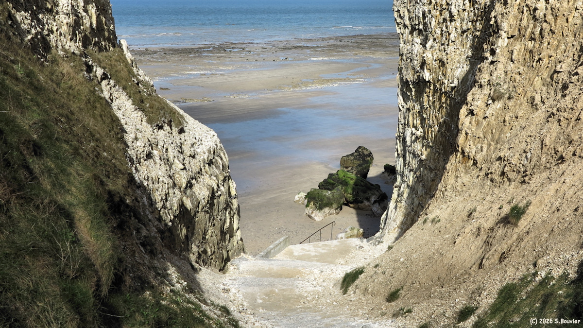 Varengeville sur Mer (Escalier 2)