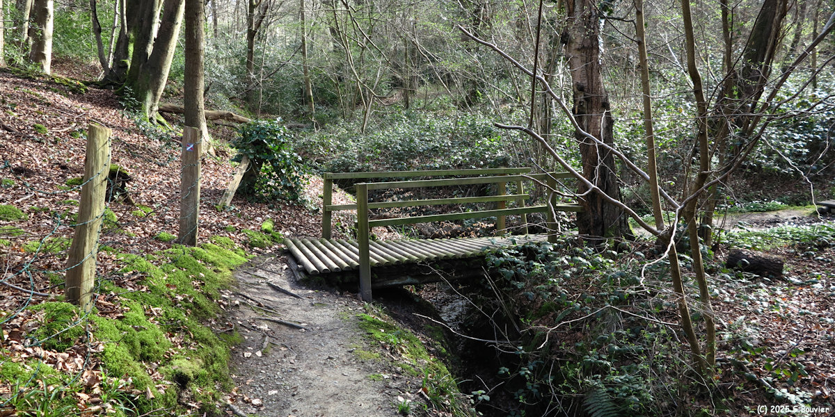 Varengeville sur Mer (Passerelle)