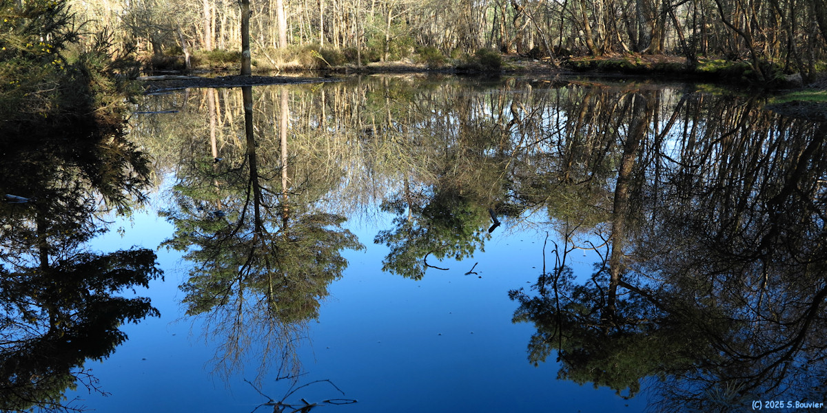 Varengeville sur Mer (Reflets 2)