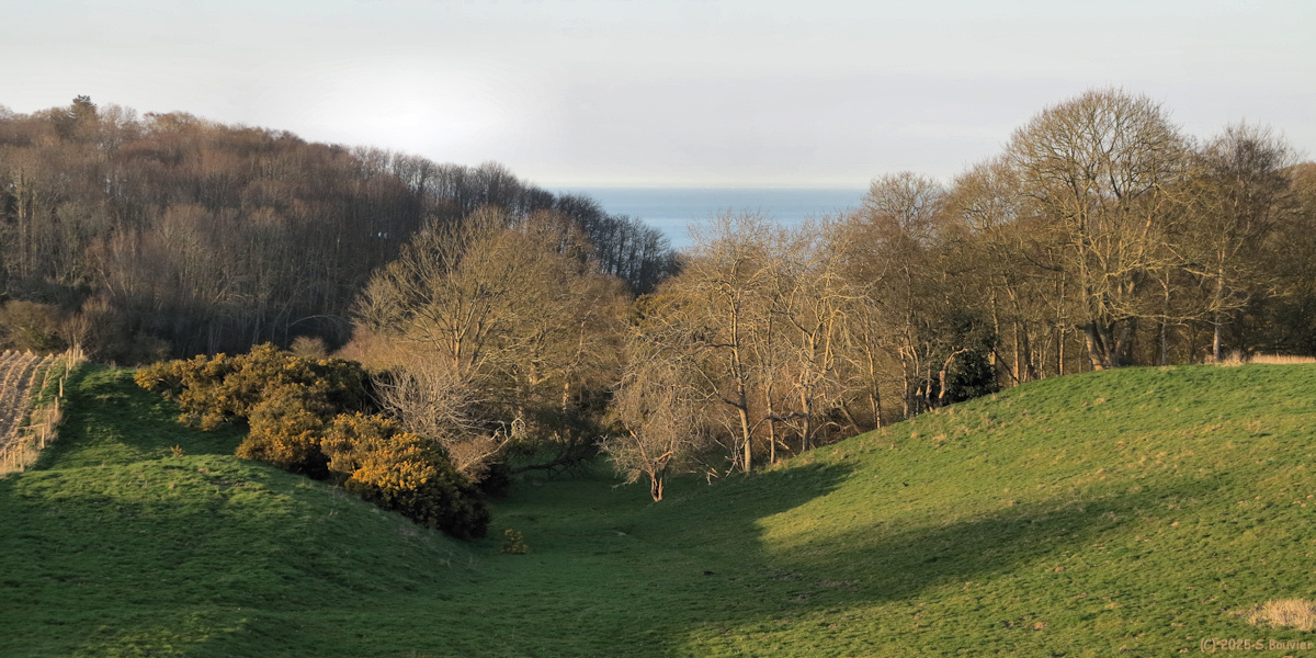 Varengeville sur Mer (Valleuse)