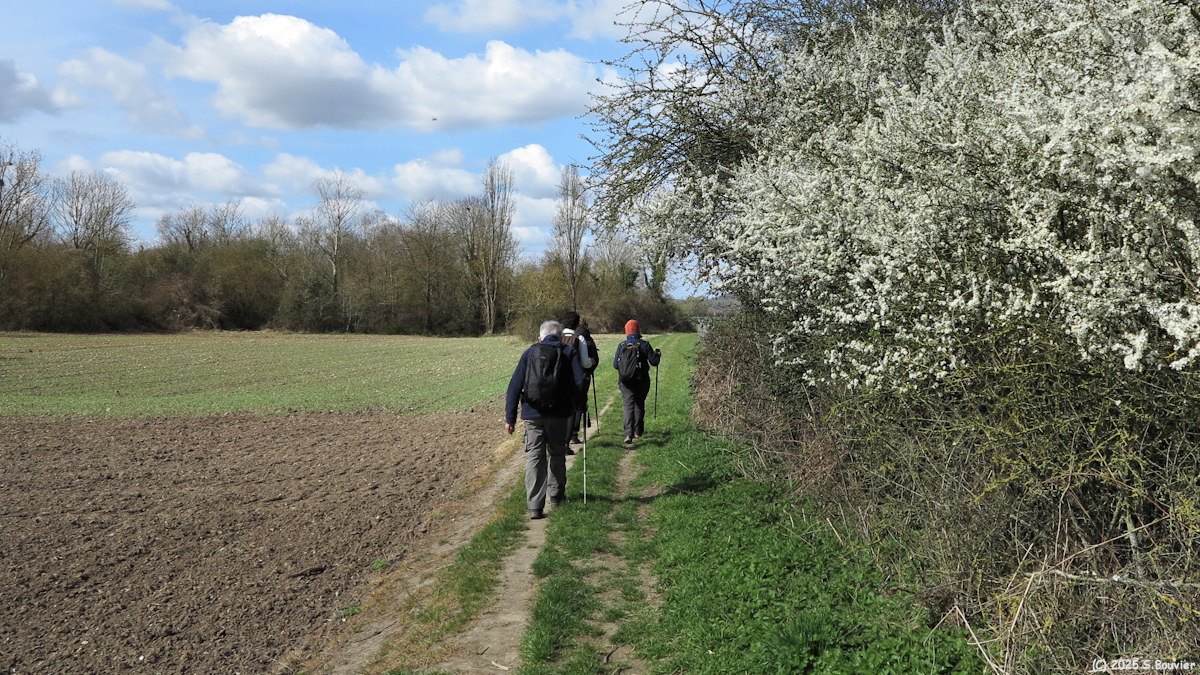 Igoville (Chemin)