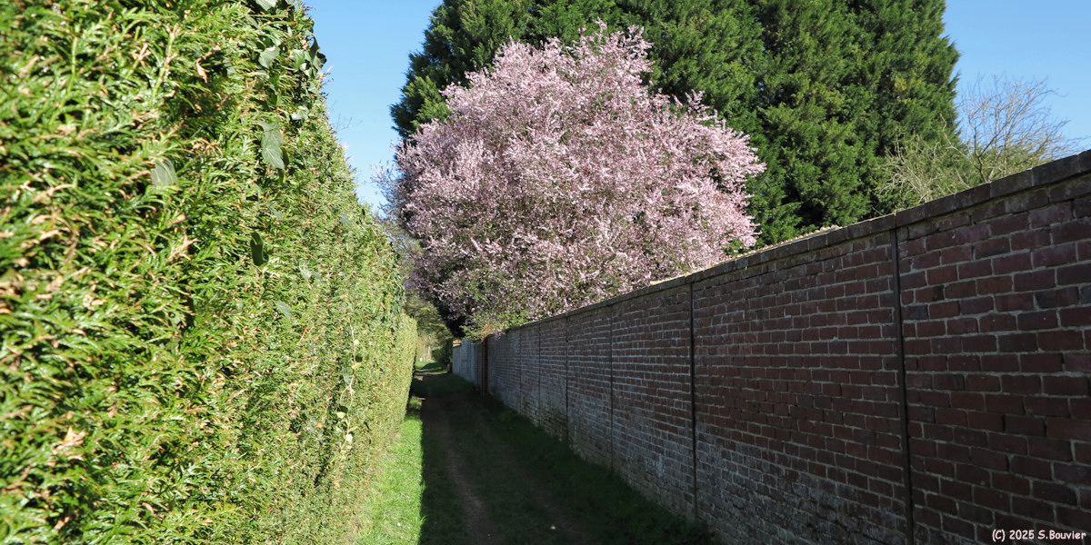 Gouy (Chemin 3)
