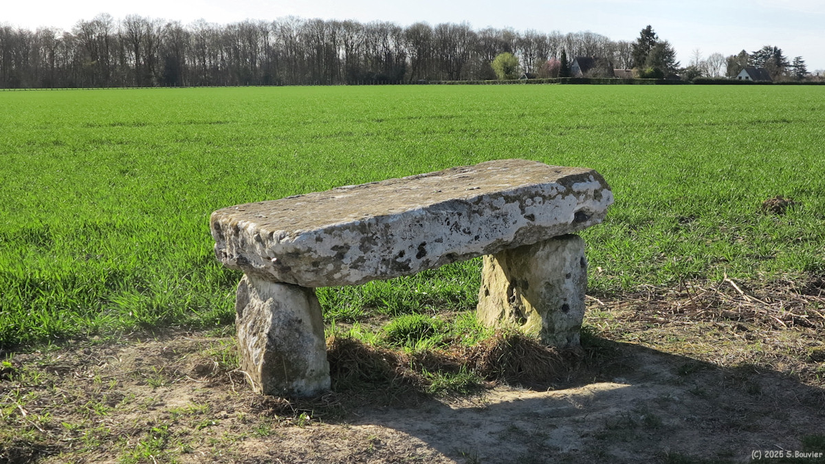 Ymare (Druide 2)