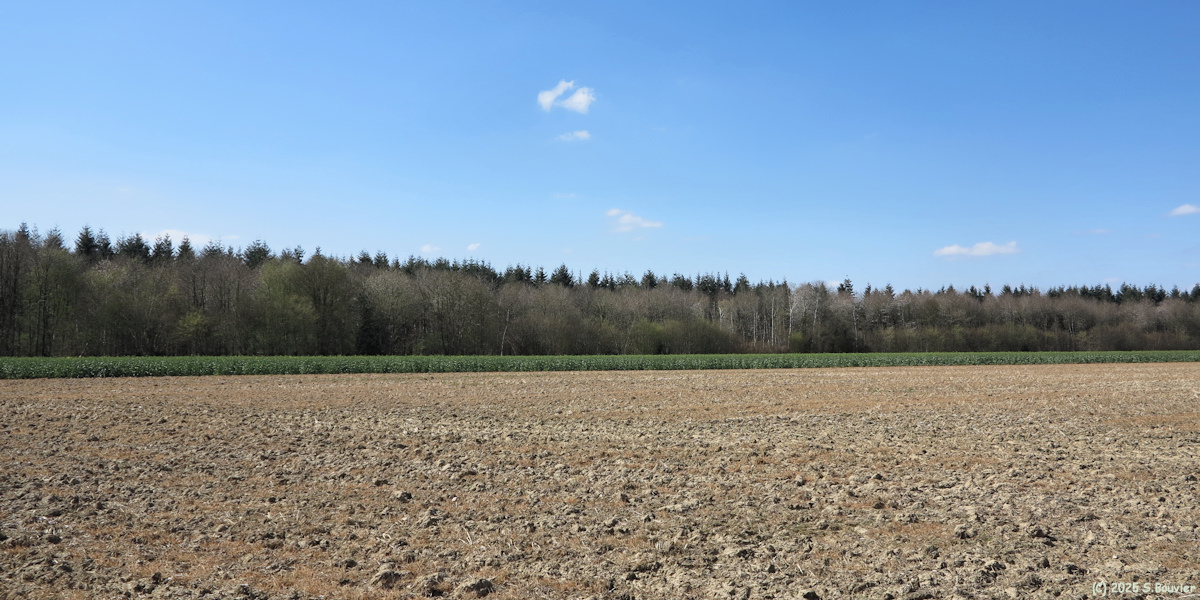 Alizay (Plaine)