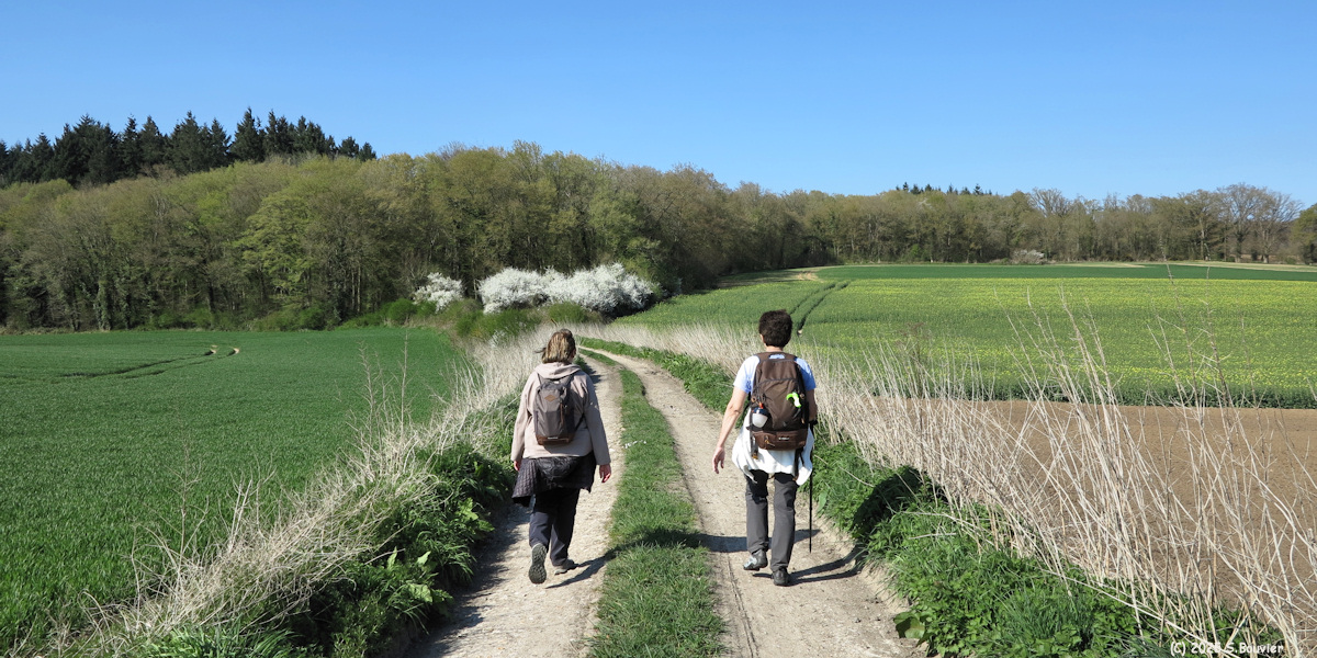 Pîtres (Chemin 1)