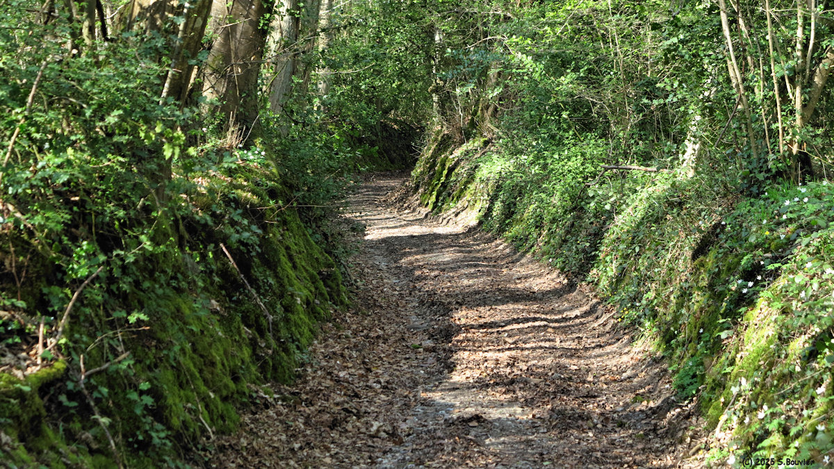 Pîtres (Chemin 2)