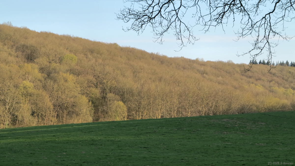 Quevreville la Poterie (Prairie)