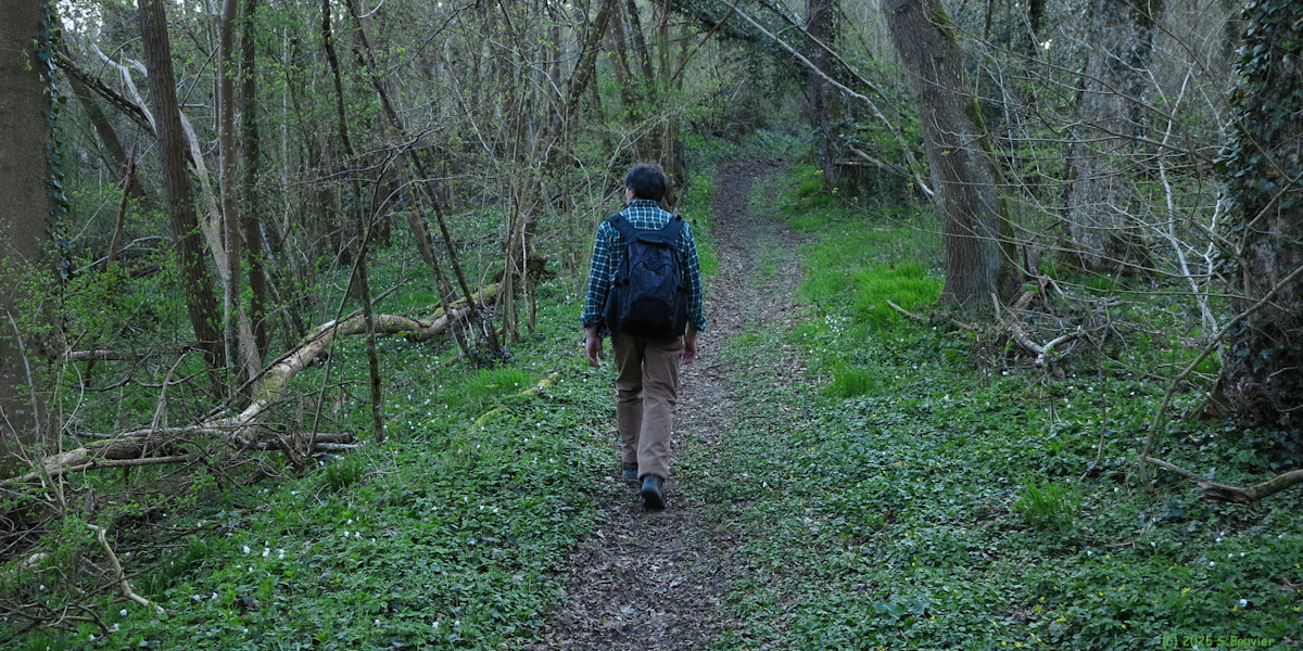 Quévreville la Poterie (Sentier)