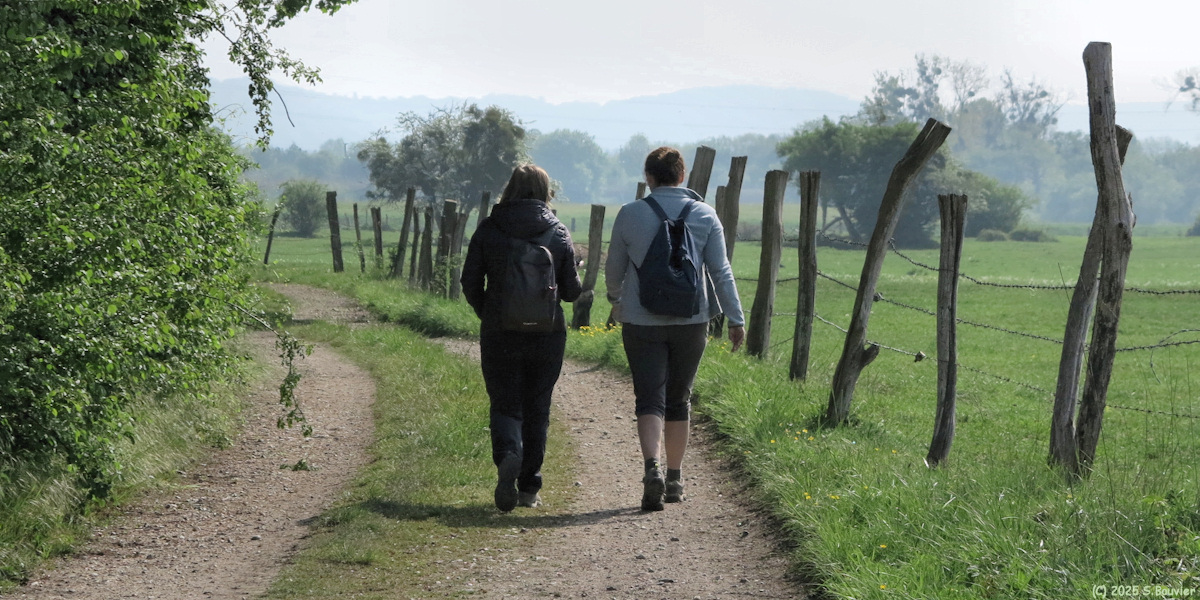 Alizay (Chemin)