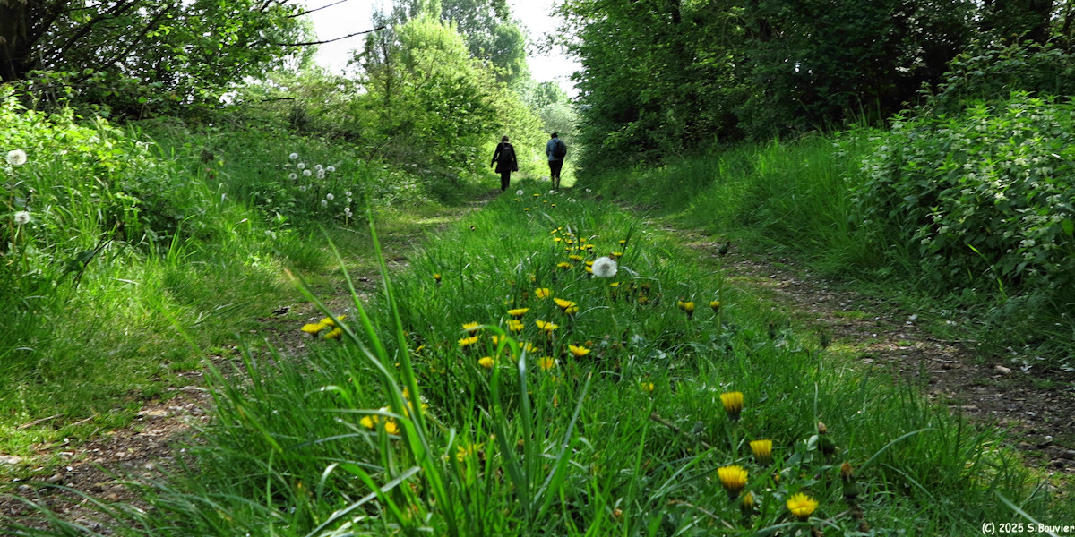 Le Manoir (Chemin 1)