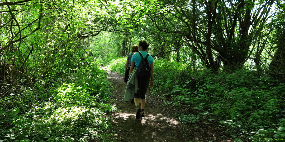 Pîtres (Chemin)