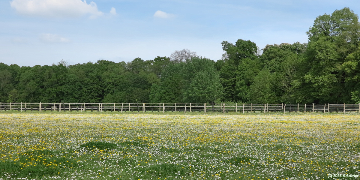 Val de Reuil (Boutons d'Or)