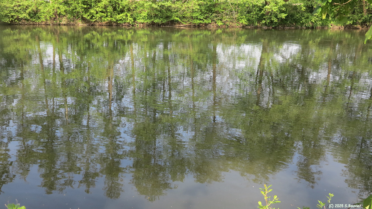 Val de Reuil (Reflet)