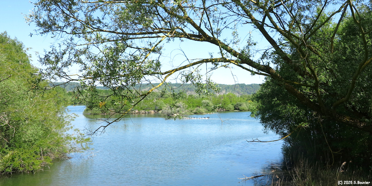 Val de Reuil (Réserve 4)